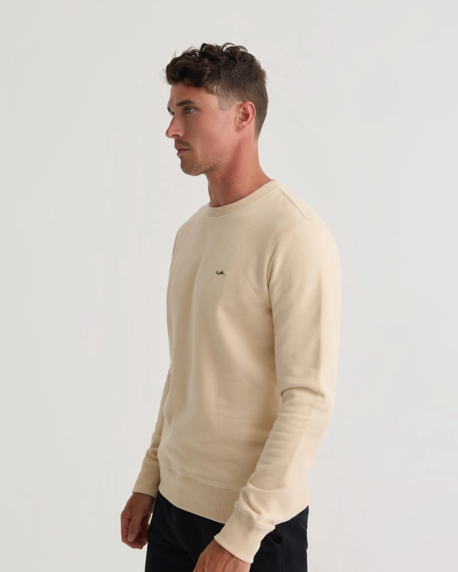 Leo Organic Cotton Sweater Shirt